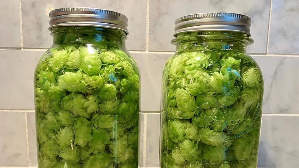 Beverage market exemplifies pathway of innovation